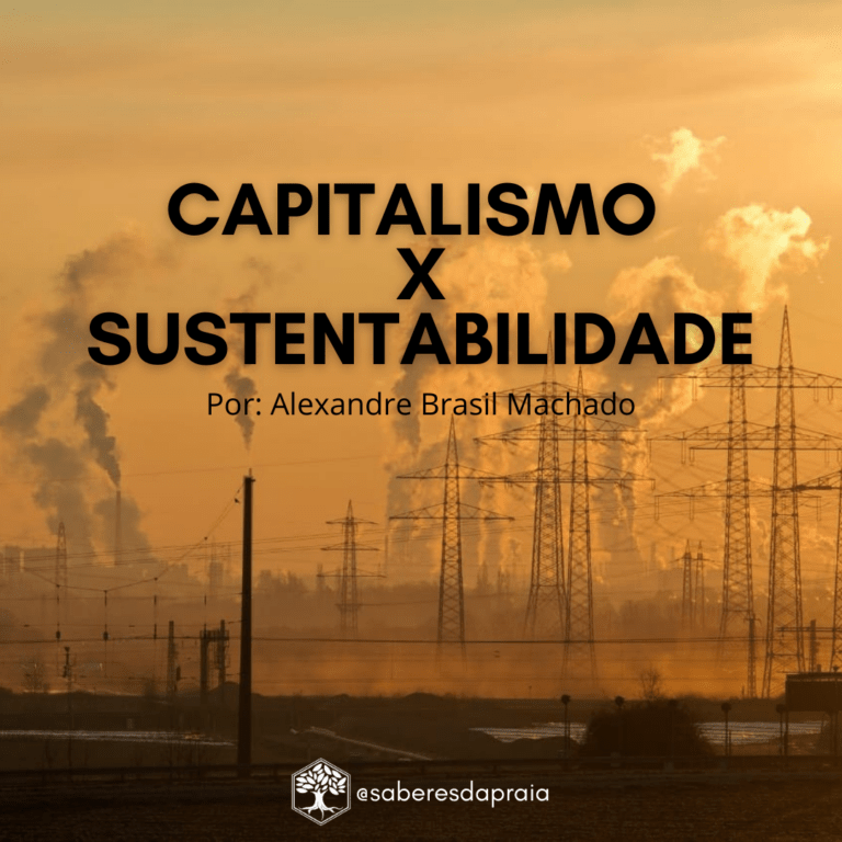 capitalismo x sustentabilidade