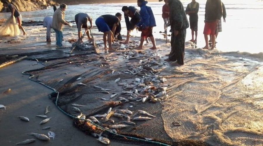 Pesca Artesanal em Ibiraquera - Saberes da Praia